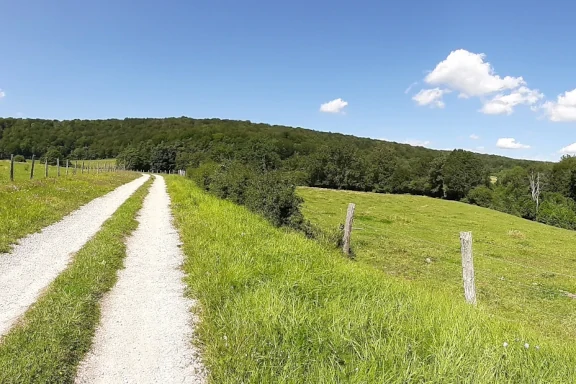 Parc national de Forêts